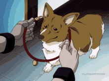 ein from cowboy bebop, being fitted with a collar (gif)